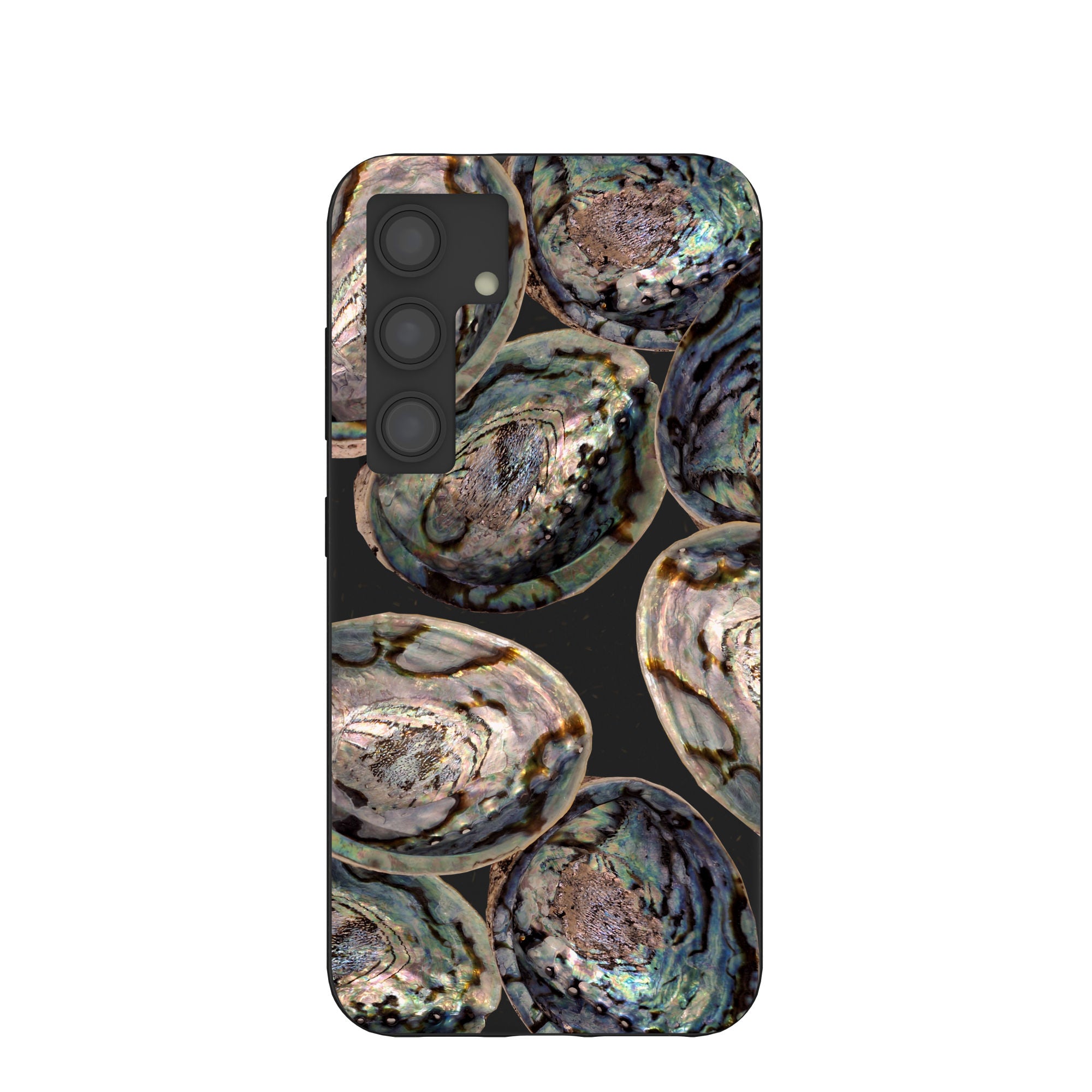 ABALONE-SHELLS_S24_Black