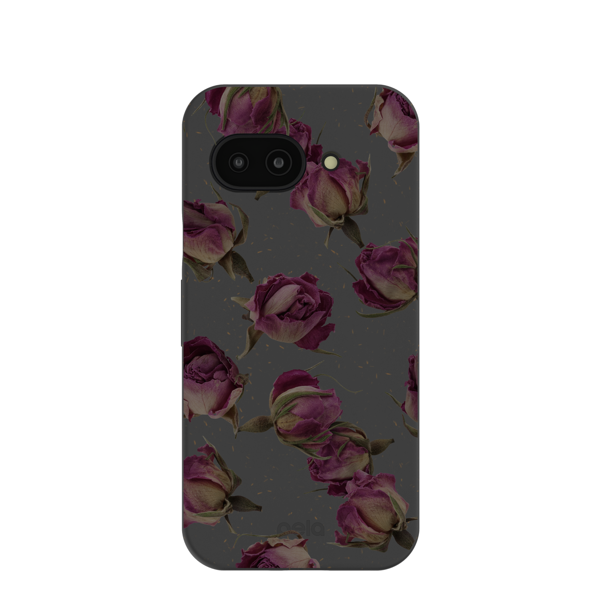 DRIED-ROSEBUDS_PX9A_Black