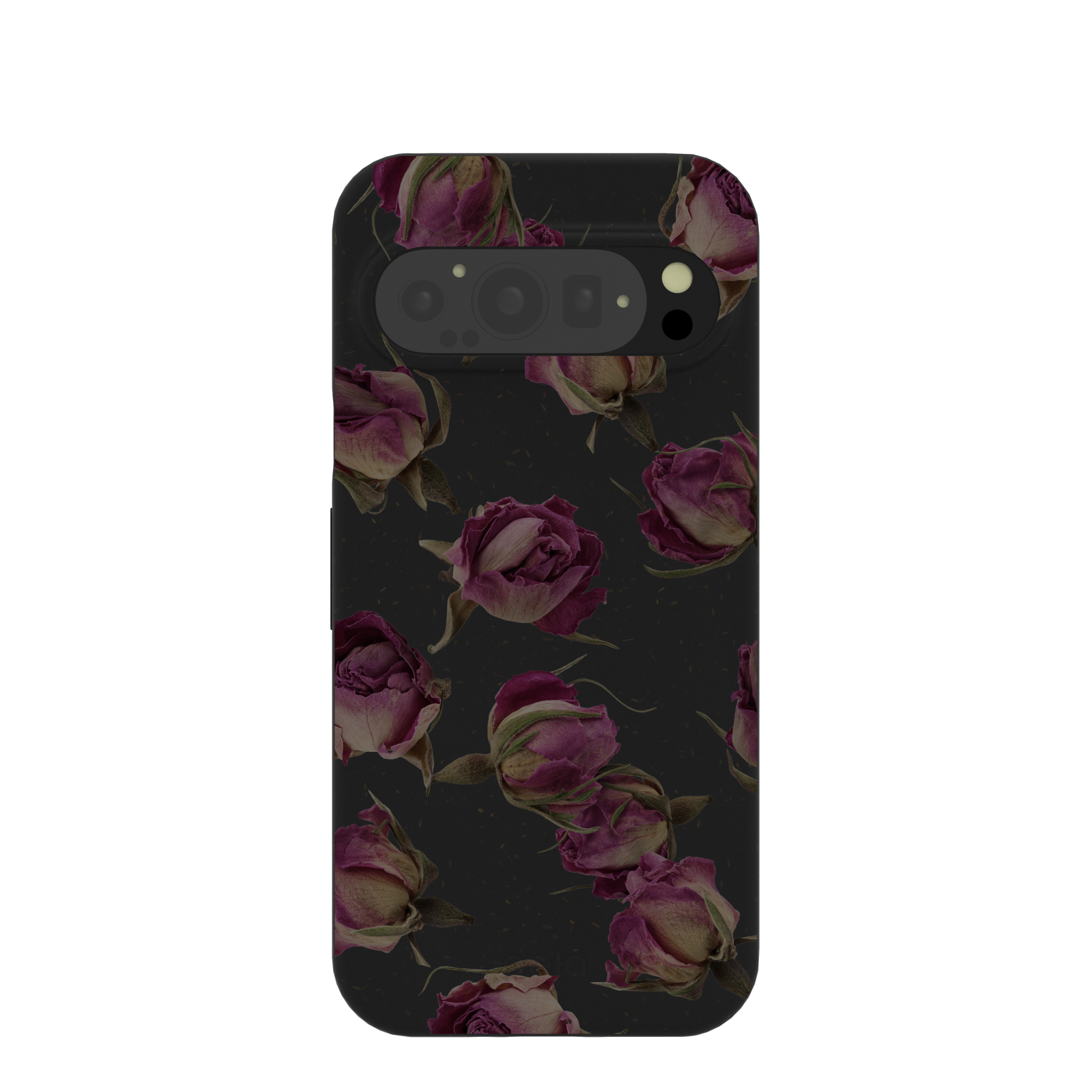 DRIED-ROSEBUDS_PX9_Black