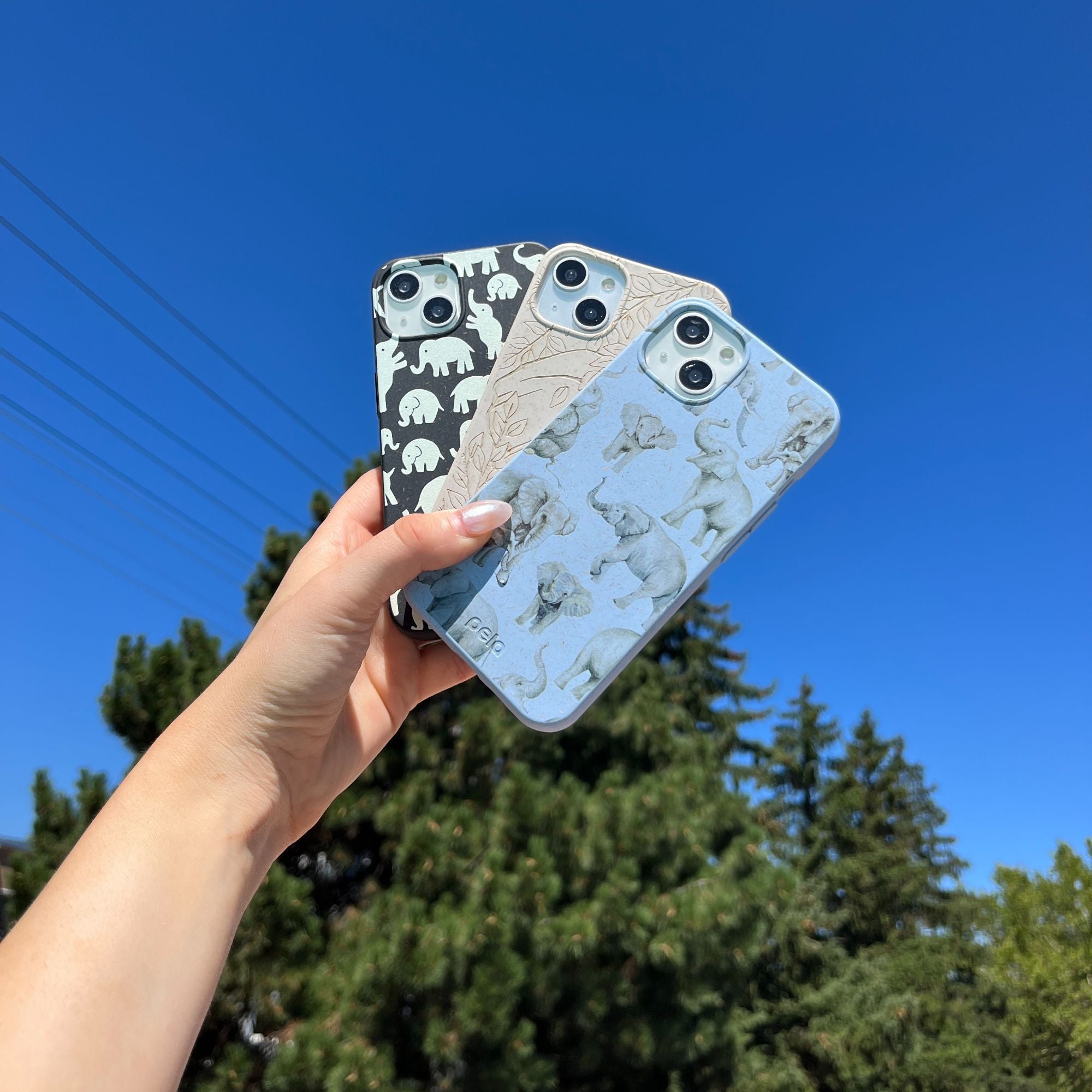 IMG_1262_ba0b76c5-5949-4682-8a53-a294b38ff266