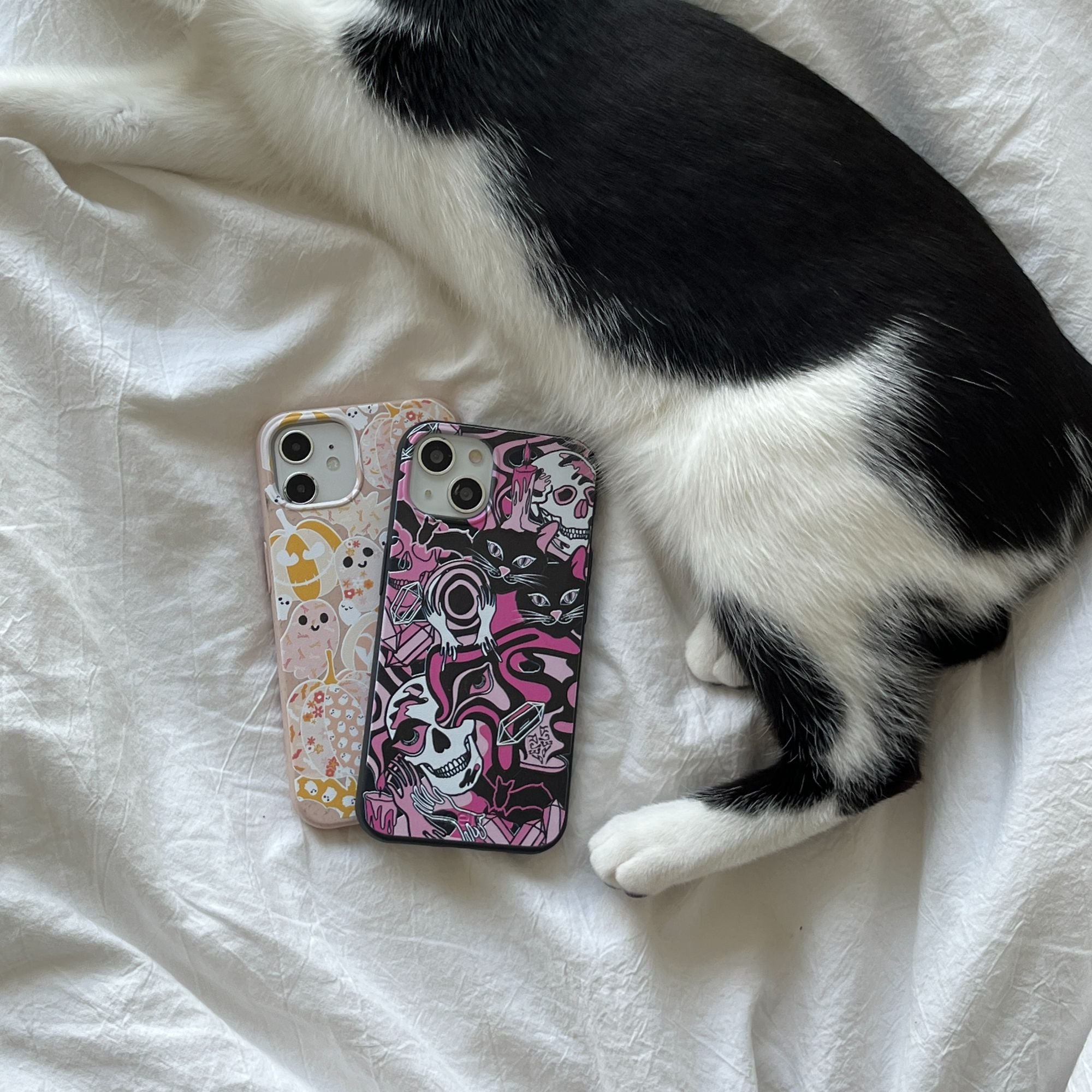 IMG_2260_f79a6bb1-8af7-48a5-ab6f-67621ac87f79