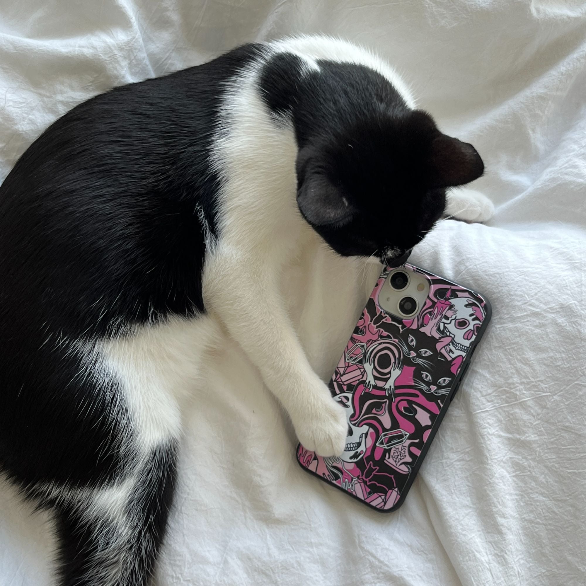 IMG_2265_a66a2875-3c5f-48d9-9390-feca6c961bca