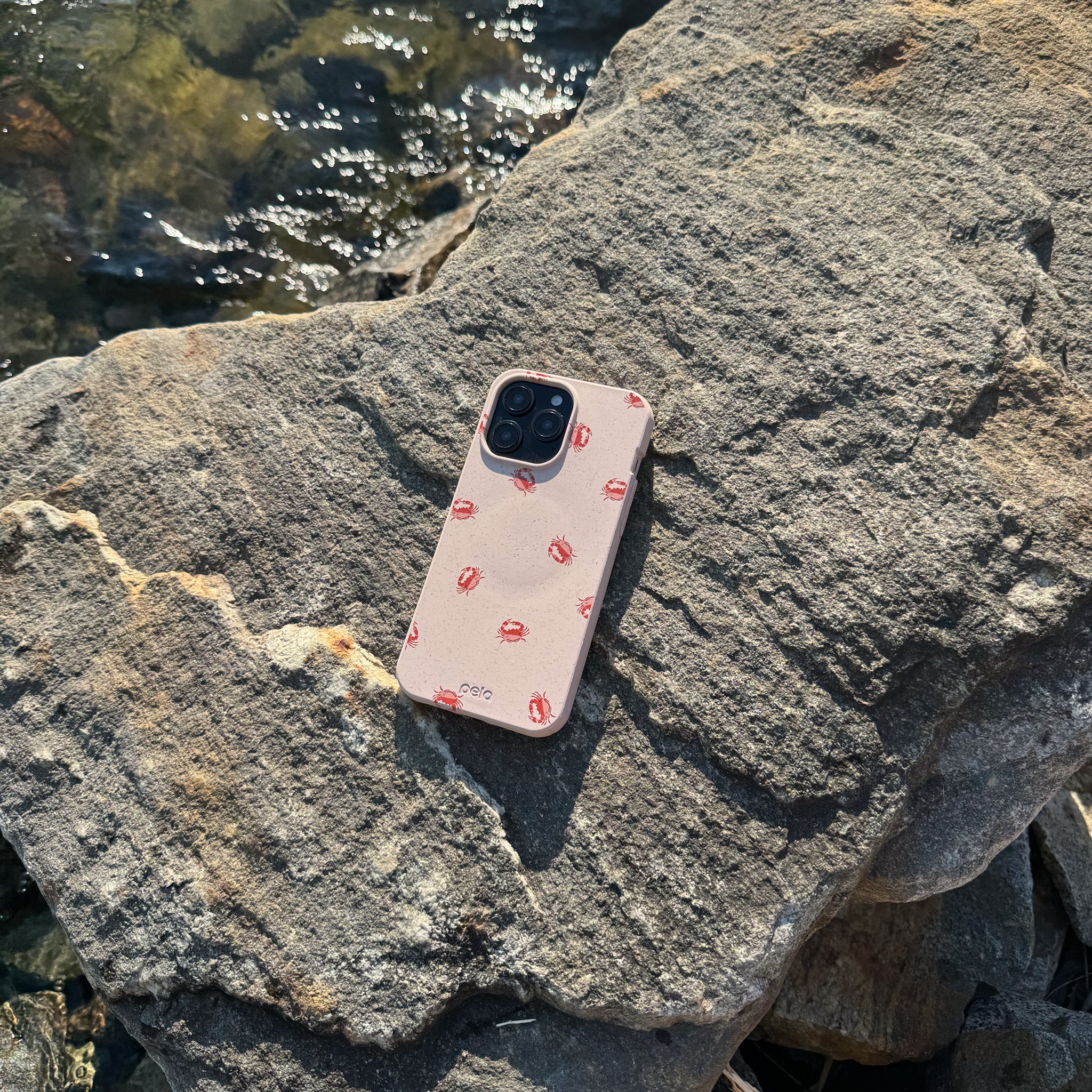 LILCRABBY_SEASHELL-2