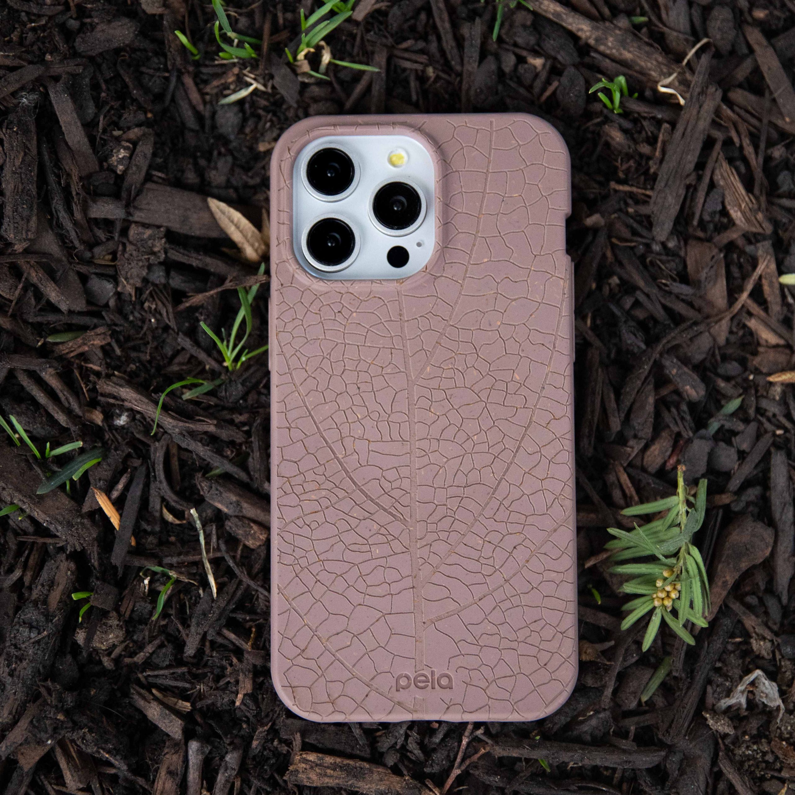 LeafVeins_PDP3_c31768a7-7c36-4235-8b82-c9c53991eaaa