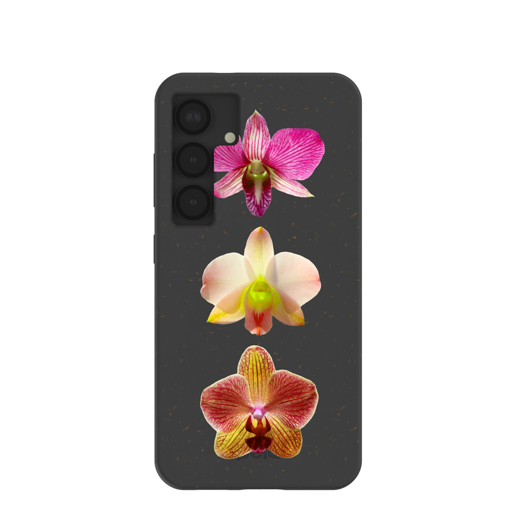 ORCHIDS_S25_Black