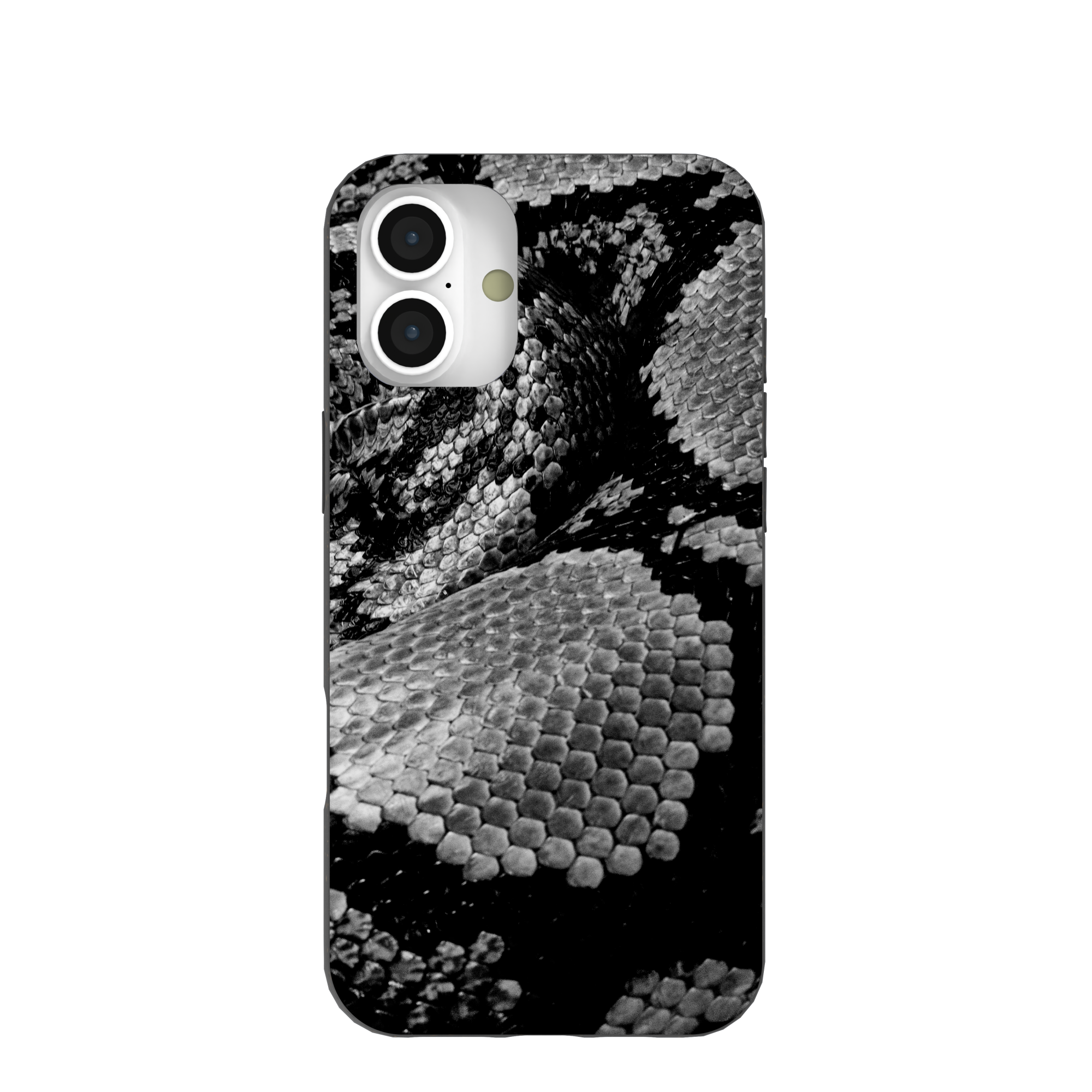 SNAKE-SCALE_IP16PLUS_Black