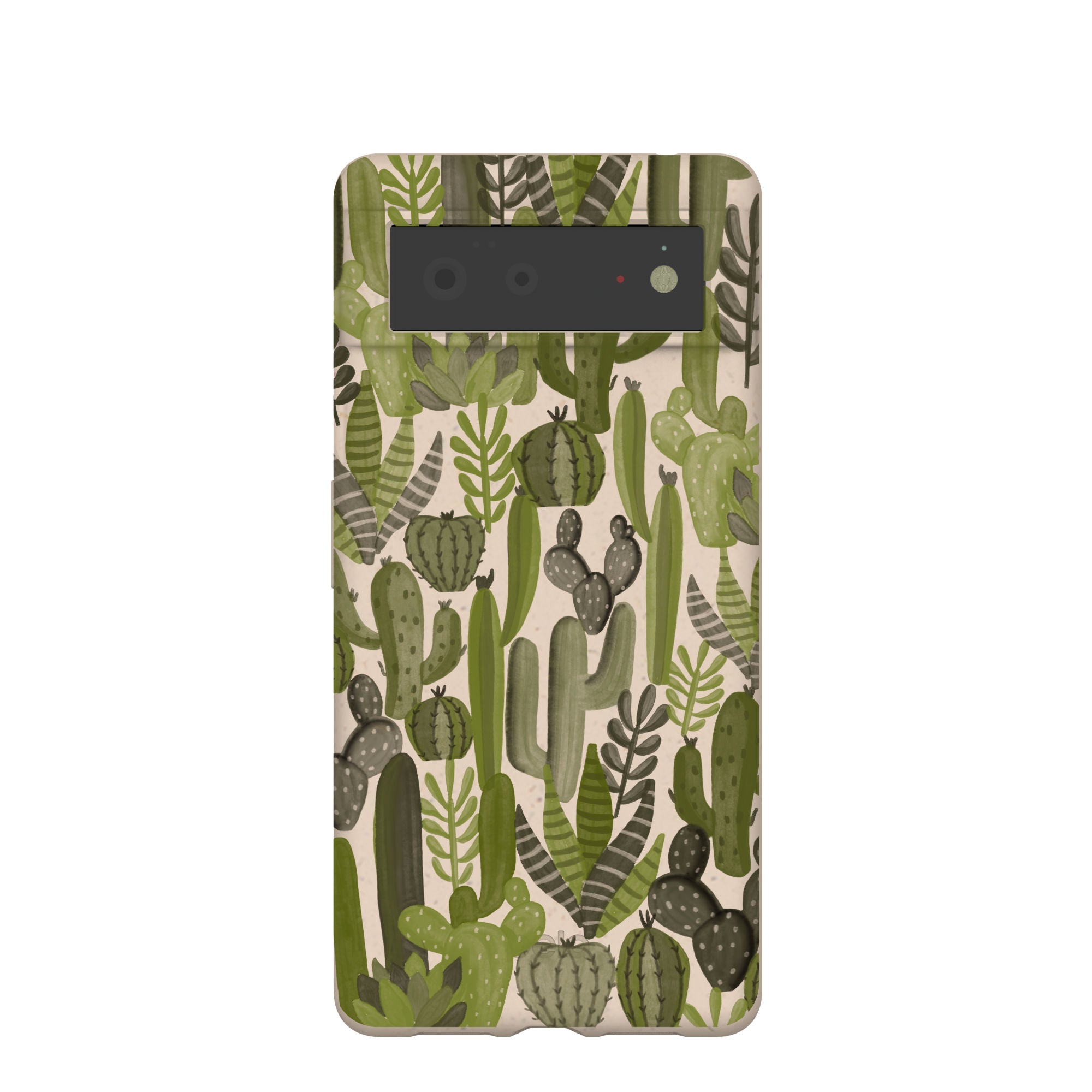 SUCCULENT-CACTI_PX6_Seashell