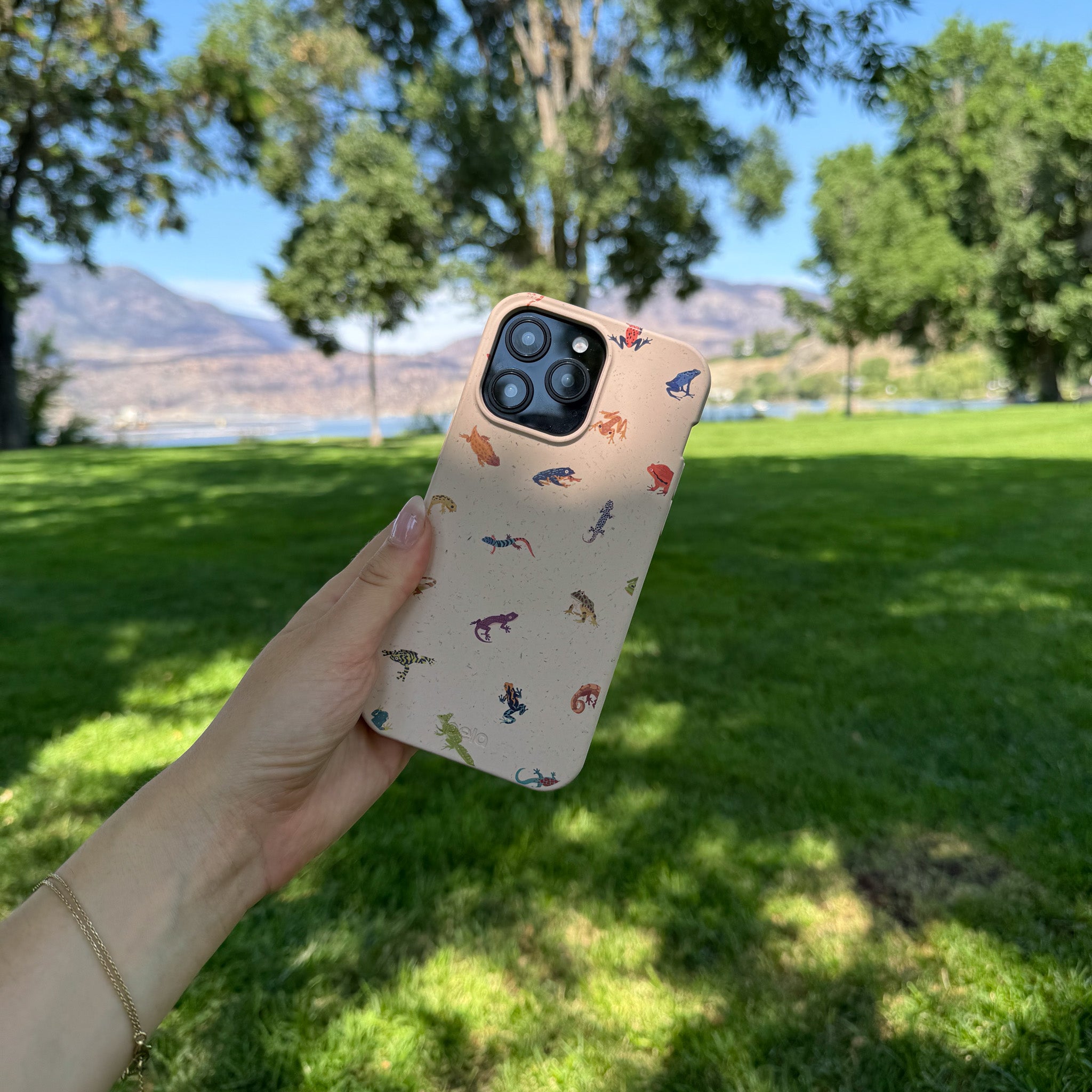 TINYAMPHIBIANS_SEASHELL-1_9f352131-f587-4d60-af09-e0cb5b5d5f2e