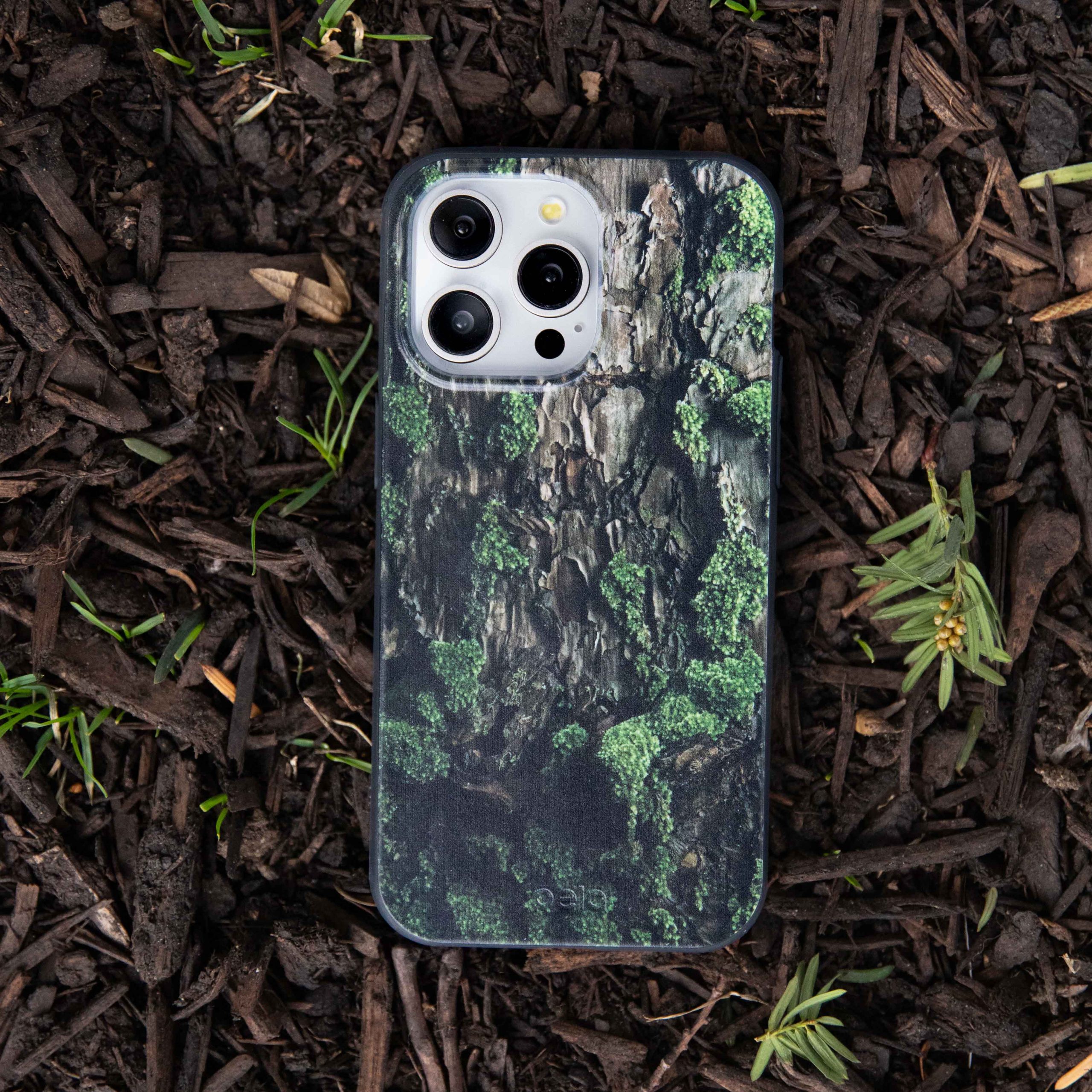 TreeBark_PDP3_3dc07e7f-0da2-4626-9467-f0de15d9b8a3