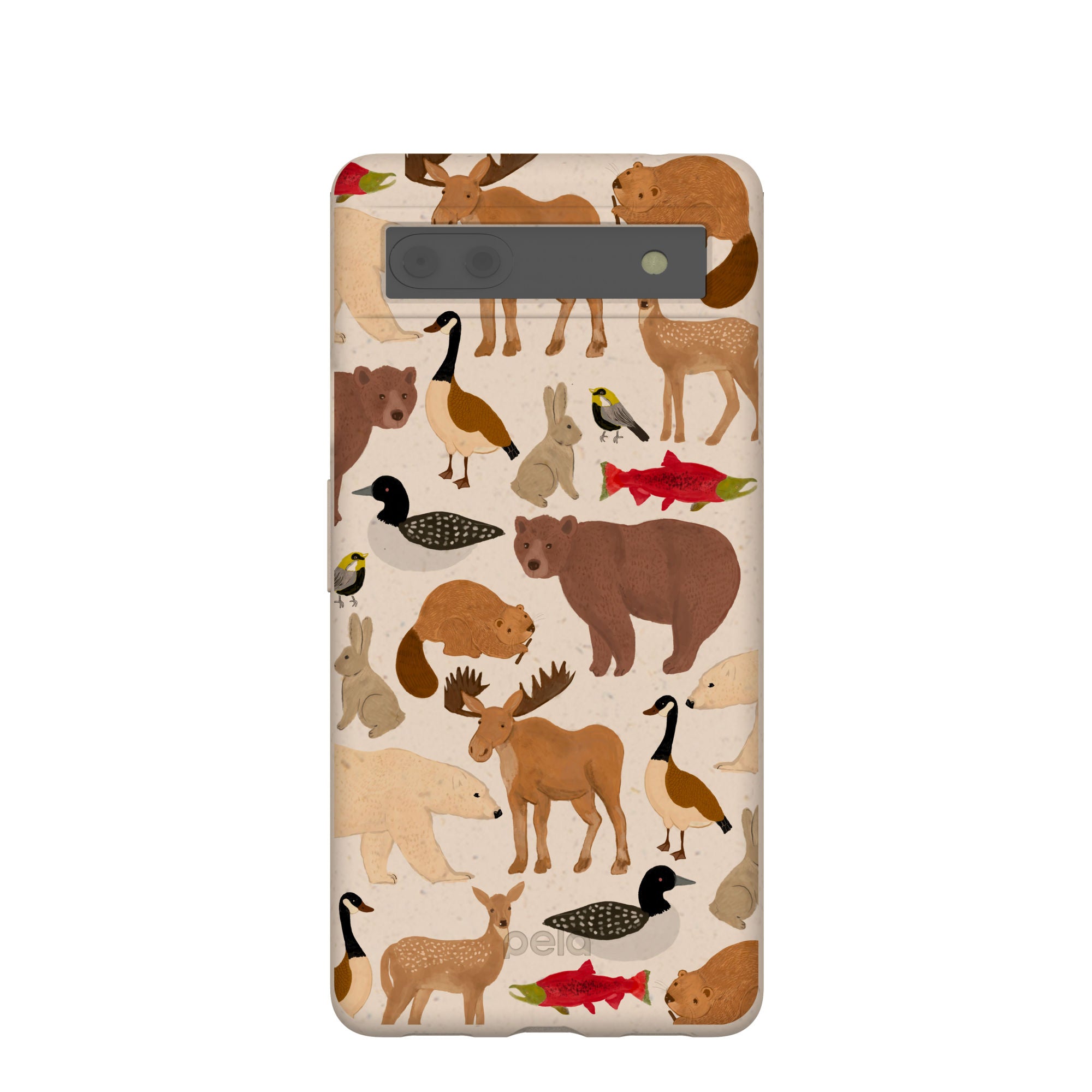 WILD-CANADA_PX6A_Seashell